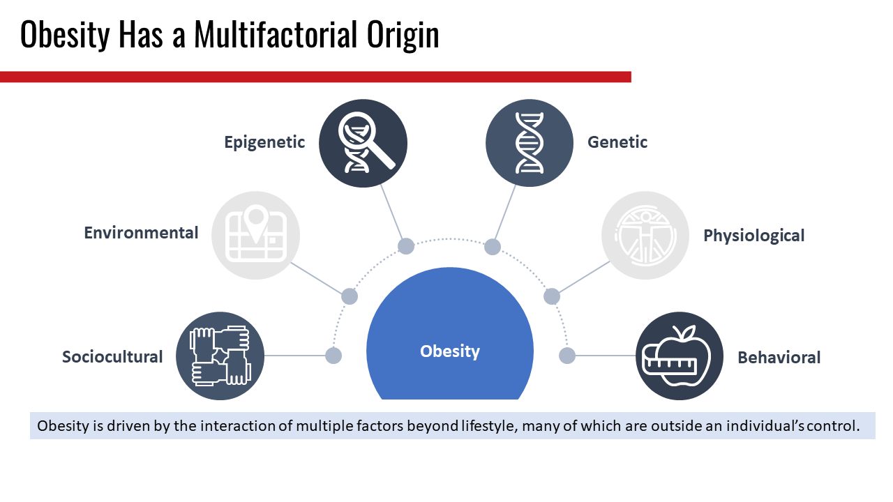 Graphic showing the multifactorial origin of obesity